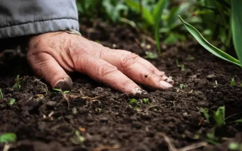 Zone Interdite : Le phosphate marocain accusé de contenir trop de cadium