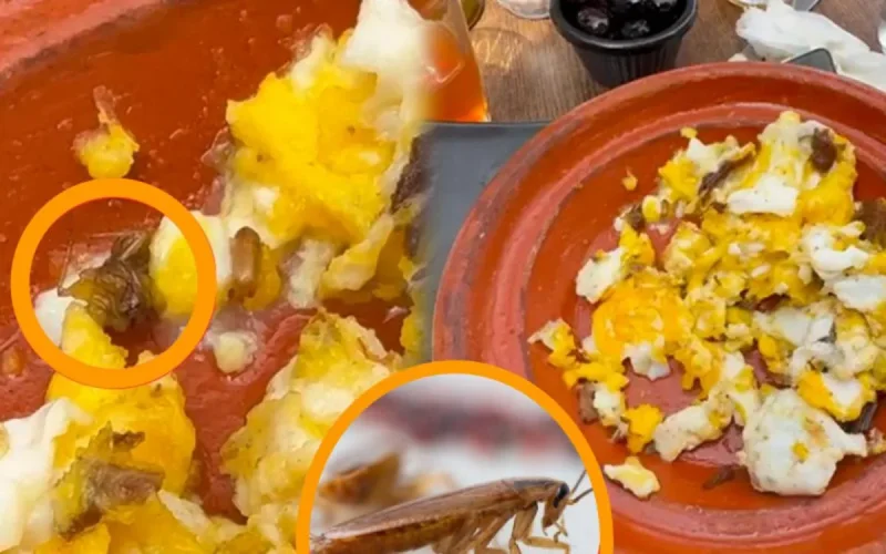 Cafard dans un plat : le restaurant à Rabat toujours ouvert