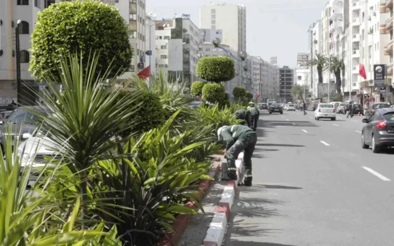 Casablanca : colère des restaurateurs