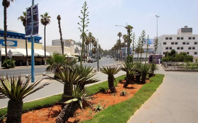  Casablanca impose une nouvelle esthétique aux cafés et restaurants