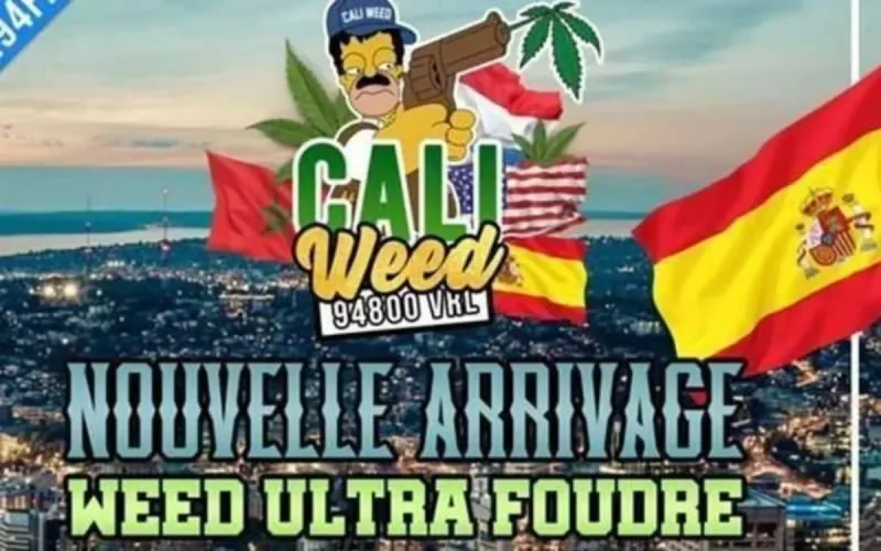 Réfugié au Maroc, le leader de Caliweed fait tabasser le banquier du réseau 