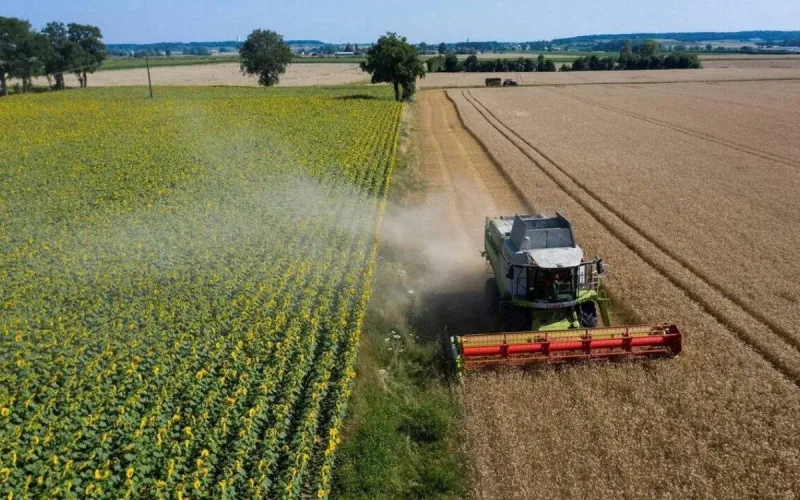 Cancer du pancréas : un médecin met en cause le cadmium présent dans certains engrais marocains