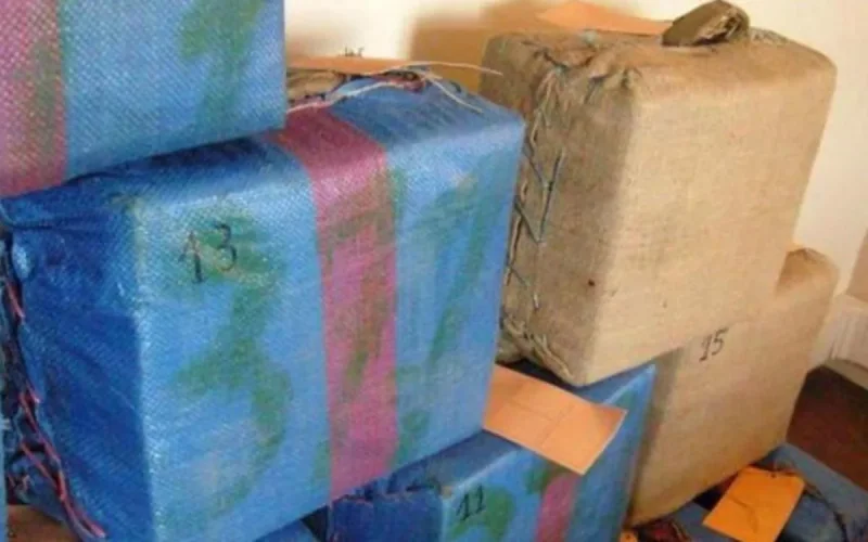 Trois frères marocains condamnés pour un trafic entre Toulouse et le Cantal