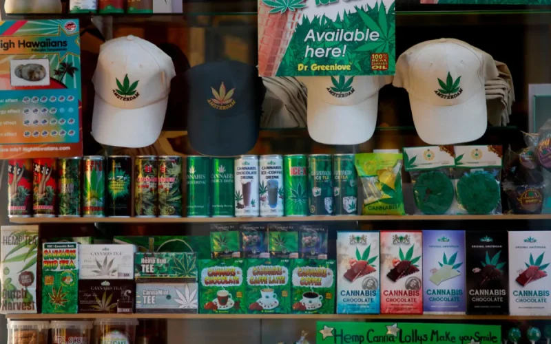 Cannabis légal aux Pays-Bas : les fumeurs délaissent le « made in Morocco »