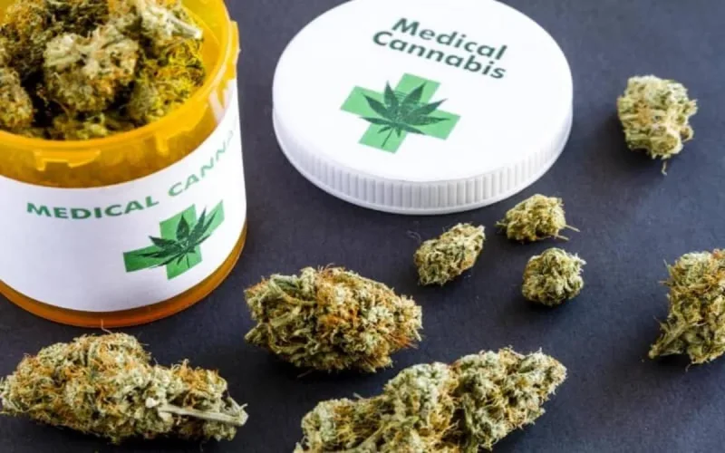 Le cannabis médicinal en passe de devenir la première exportation du Maroc