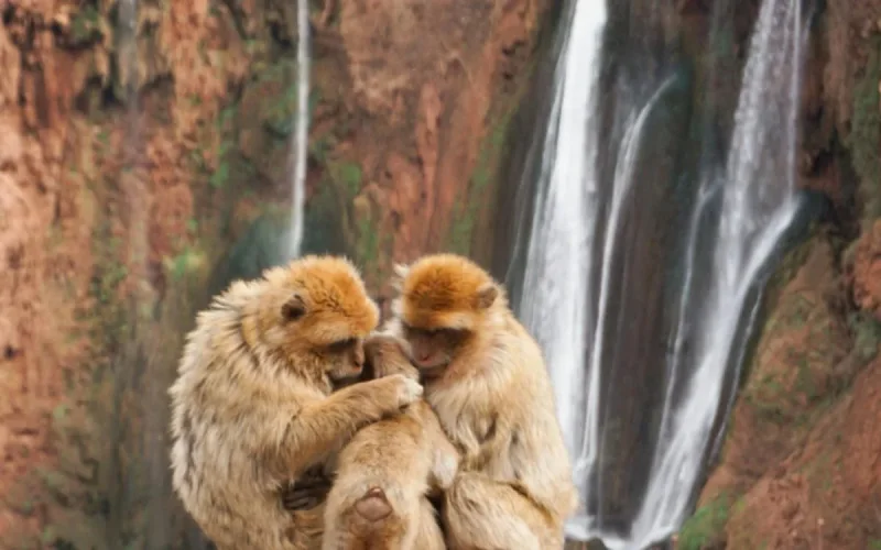 Le top 10 des merveilles naturelles au Maroc selon le Figaro