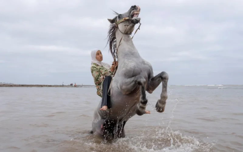 Les cavalières marocaines à l'honneur