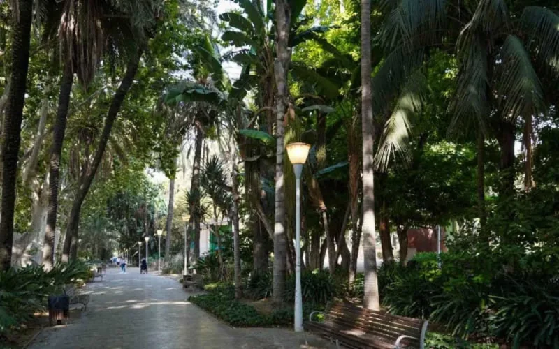 Une ceinture verte du Sud de l'Espagne jusqu'au Maroc