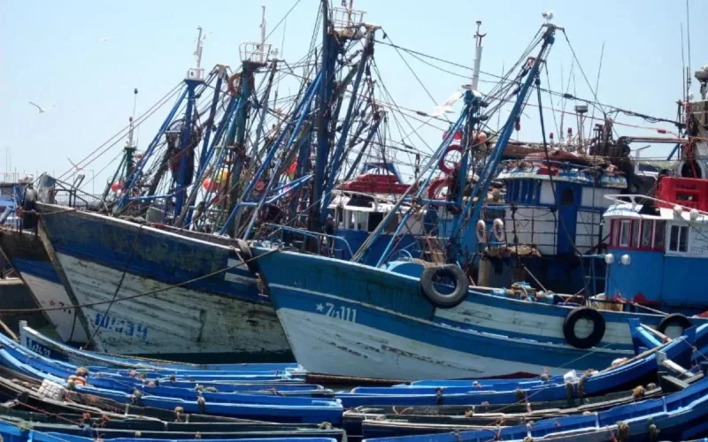Le Maroc traque tous les bateaux de pêche depuis l'espace