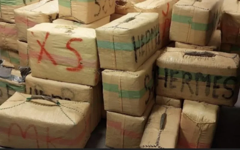 Chawki, le « super logisticien du cannabis », lourdement condamné à Paris