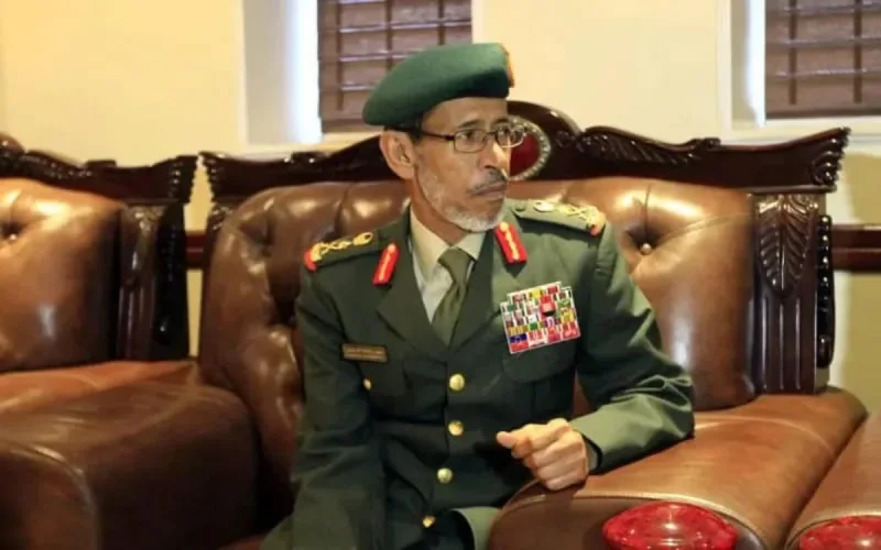 Le chef de l'armée émiratie en visite au Maroc