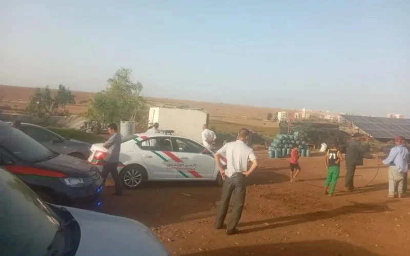 Mort mystérieuse de cinq chevaux à Settat, un empoisonnement ?