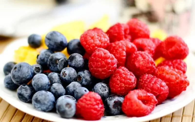 Le leader chilien de fruits rouges Agroberries a investi 40 millions d'euros au Maroc