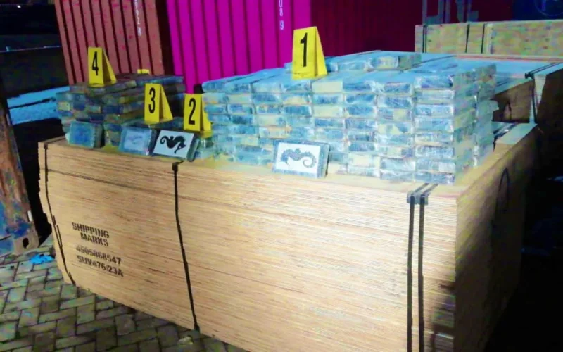 Cocaïne : la BNPJ et la DEA réussissent un grand coup au Maroc