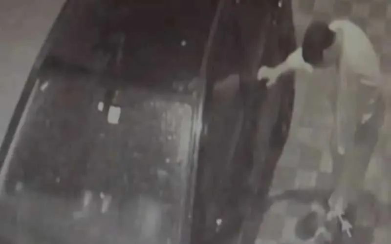 Maroc : un homme condamné pour avoir tué un chat 