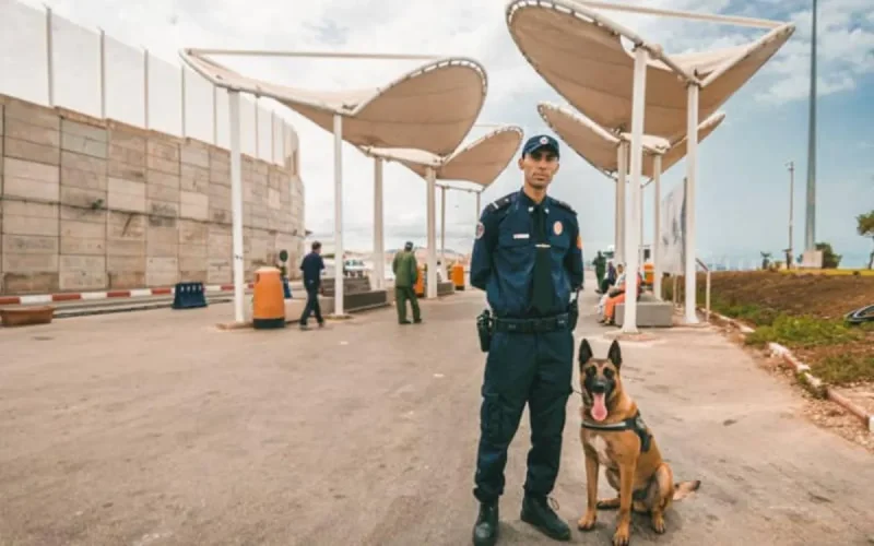 Tanger Med : des MRE interpellés pour trafic de drogue