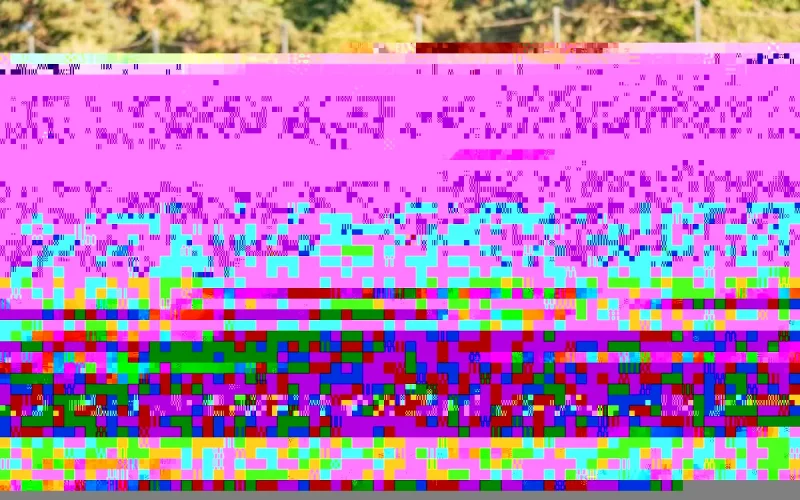 Rennes : le Maroc vise un troisième titre à la Coupe d'Afrique des nations