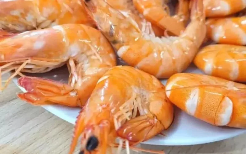 Des crevettes marocaines interdites en Espagne 