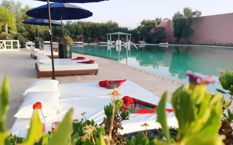 Maroc : un appel pour sauver les agences de voyages 