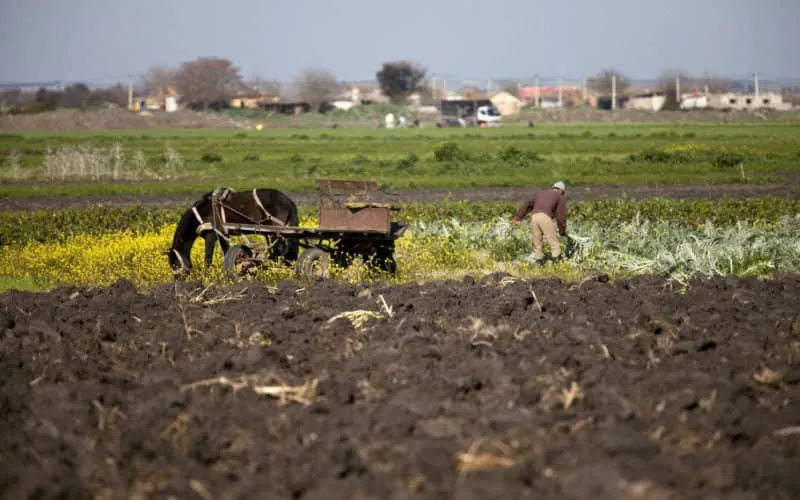 L'économie marocaine a dégringolé de 6,3% en 2020