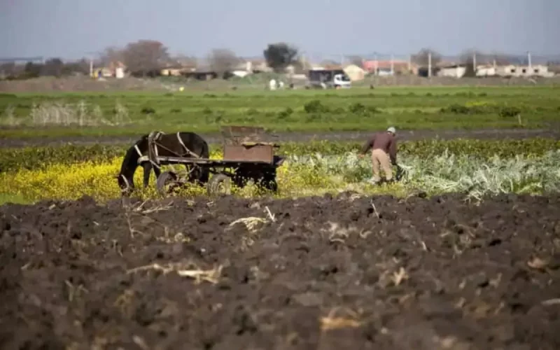 Croissance économique du Maroc : voici les chiffres de la Banque mondiale