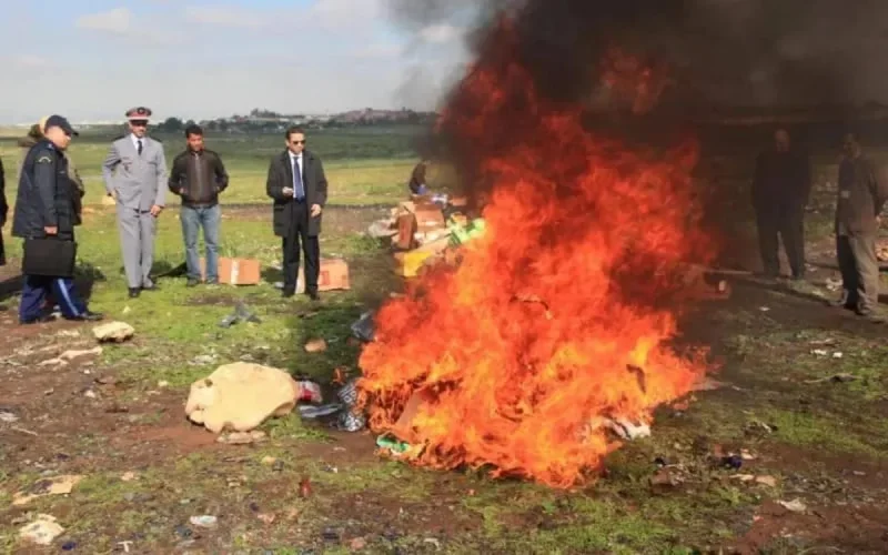 Dakhla : près de 14 tonnes de drogues brûlées
