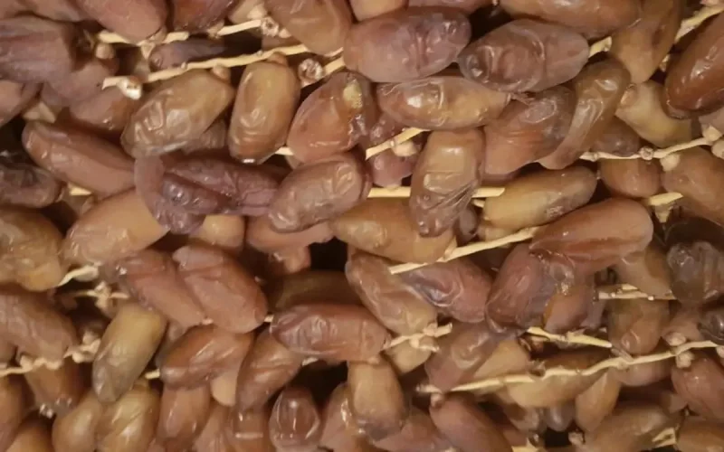 Dattes tunisiennes : la Tunisie ferme la porte au Maroc