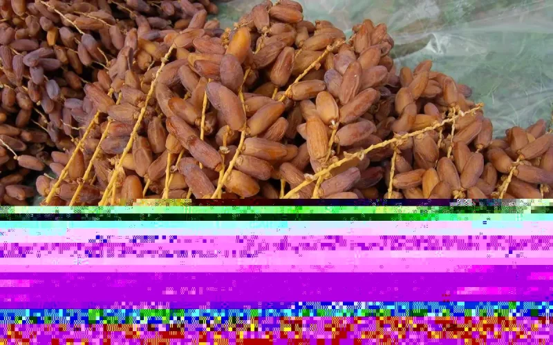 Tunisie : Kaïs Saïed désavoue l'exclusion du Maroc du marché des dattes