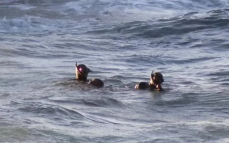 Décès d'un Marocain à Ceuta : une association exige une enquête