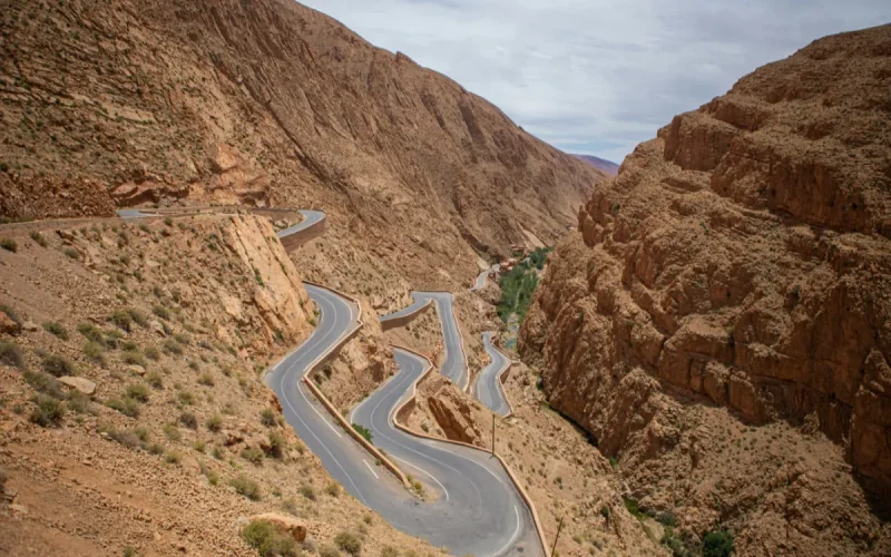 Une découverte majeure au Maroc redéfinit l'histoire de la vie marine