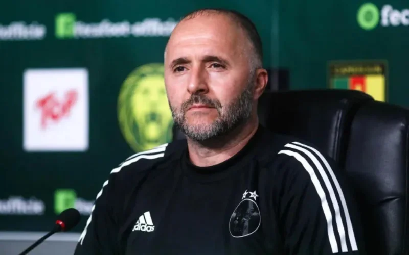 Djamel Belmadi admire le parcours de Walid Regragui