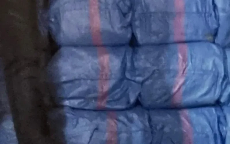 Opération anti-drogue au Maroc : 11 tonnes saisies et 6 personnes arrêtées