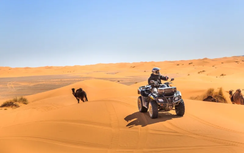 Marrakech et Merzouga font le plein pour le Nouvel An : les réservations atteignent des niveaux record