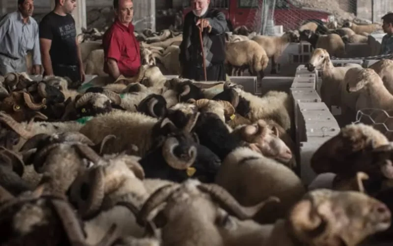 Aid al-Adha : Vox se plaint de l'influence du Maroc