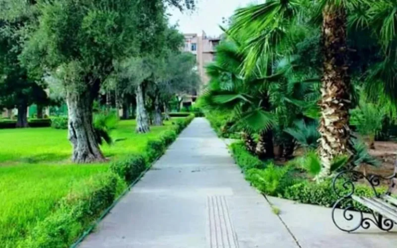 Marrakech en manque d'espace vert : la colère des habitants