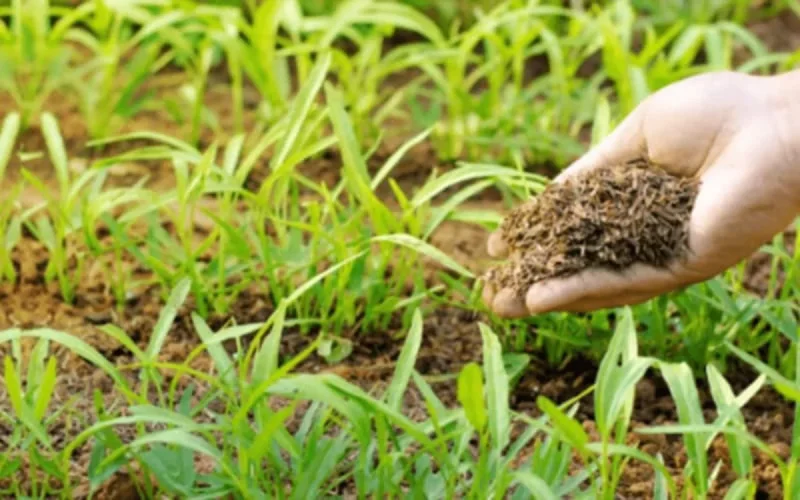 L'Espagne va importer davantage d'engrais du Maroc