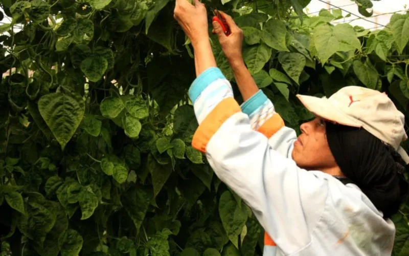 Le Maroc devient la terre promise des entreprises espagnoles