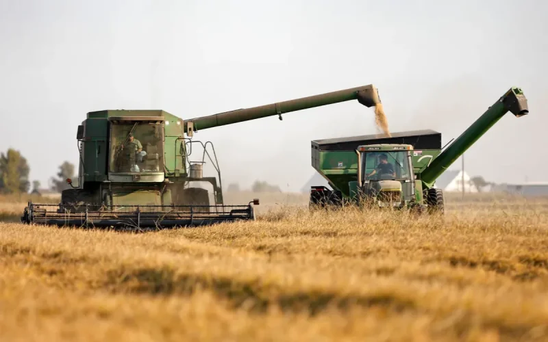 Les agriculteurs américains appellent le Maroc à l'aide