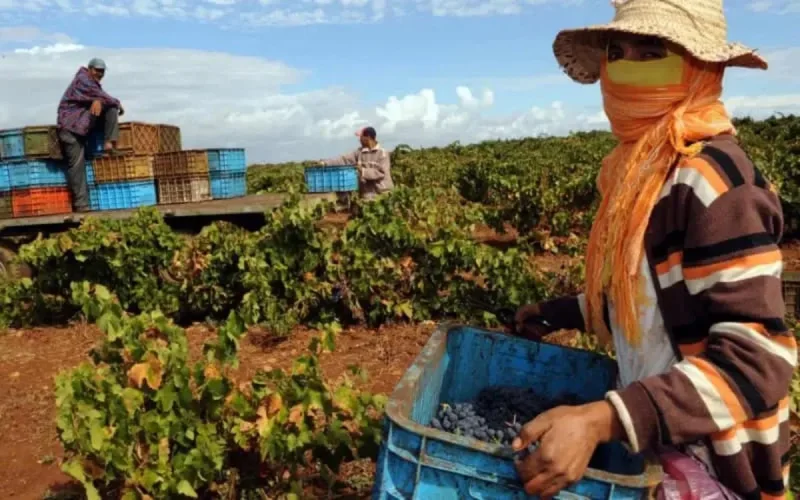 Maroc : voici ce qui explique la faible pluviométrie 