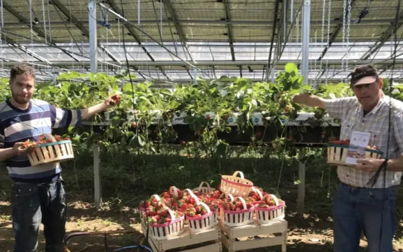 Drôme : un agriculteur se bat pour empêcher l'expulsion de son ouvrier marocain