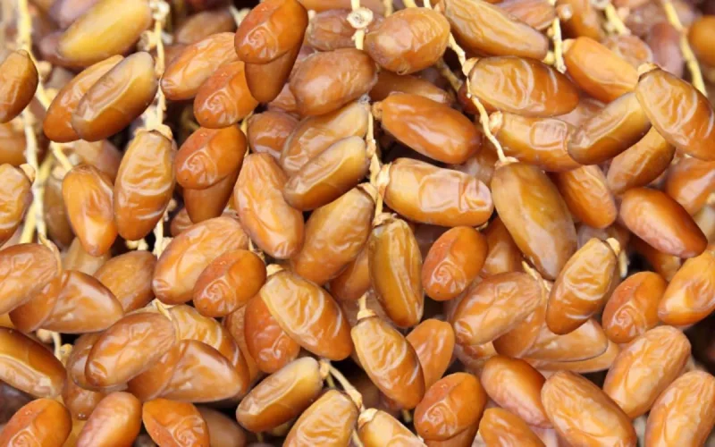 Fraude aux dattes : l'Algérie infiltre le marché marocain via la Tunisie
