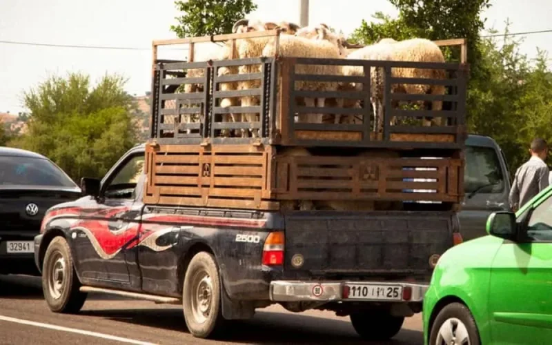 La majorité des Marocains passe l'Aid-Al Adha à domicile