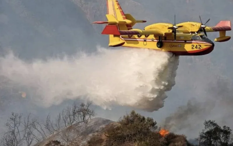 Un feu de forêt ravage 100 hectares à Tétouan