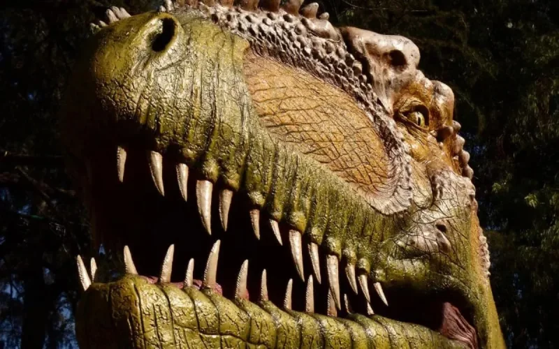 Maroc : des fossiles racontent la dernière ère des dinosaures