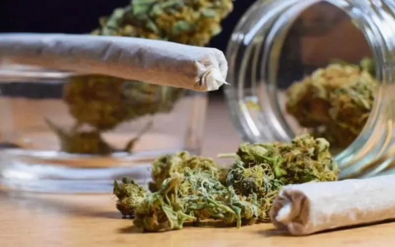 Quand la France organisait le commerce du cannabis au Maroc