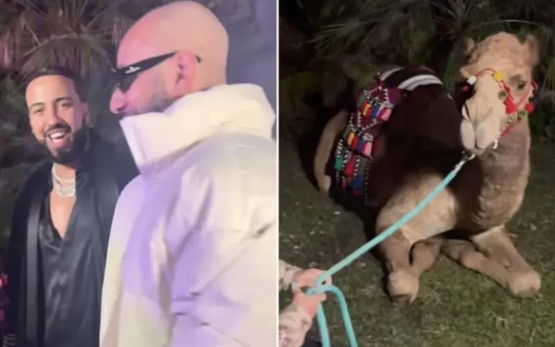 French Montana reçoit un cadeau inhabituel pour son anniversaire (vidéo)