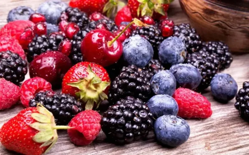 Les fruits rouges marocains cartonnent à l'étranger