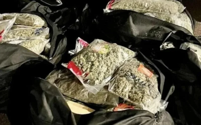 Un go-fast avec 720 kilos de cannabis marocain intercepté à Montauban 