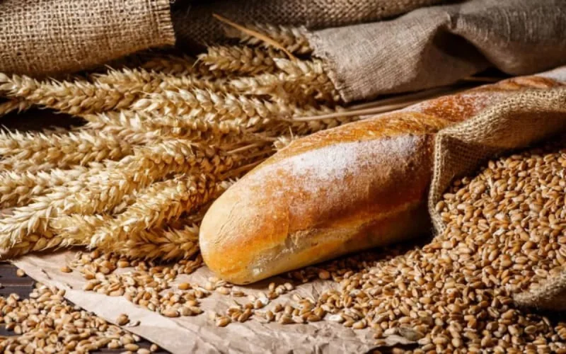 Céréales : le Royaume-Uni veut fournir du blé au Maroc