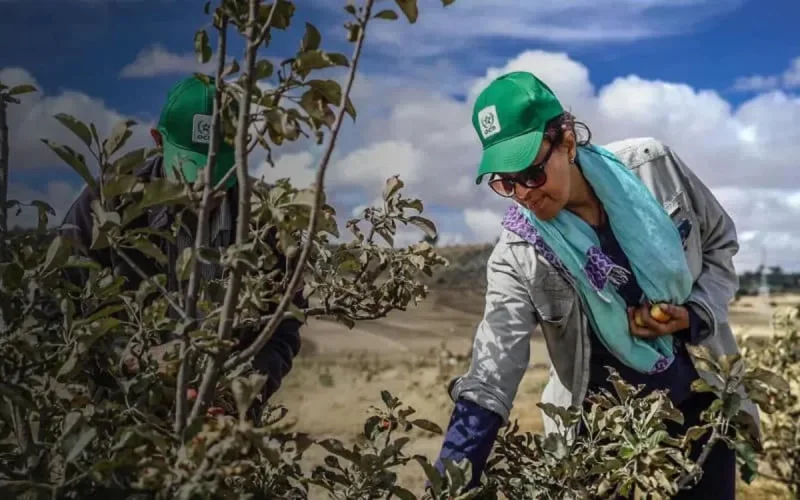 Le groupe marocain OCP vise haut les quatre prochaines années 
